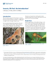 Insects, Oh Yes!: an Introduction1 S