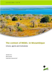 The Context of REDD+ in Mozambique Drivers, Agents and Institutions