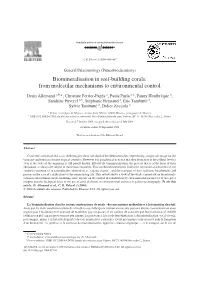 Biomineralisation in Reef-Building Corals: from Molecular Mechanisms to Environmental Control