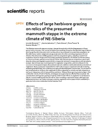 Effects of Large Herbivore Grazing on Relics of the Presumed Mammoth