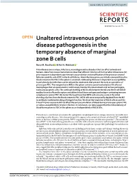 Unaltered Intravenous Prion Disease Pathogenesis in the Temporary Absence of Marginal Zone B Cells Barry M