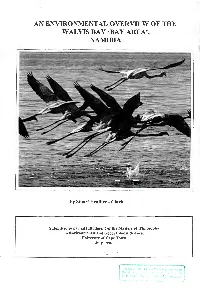 An Environmental Overview of the Walvis Bay 'Bay Area', Namibia