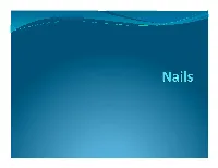 Nails Develop from Thickened Areas of Epidermis at the Tips of Each Digit Called Nail Fields