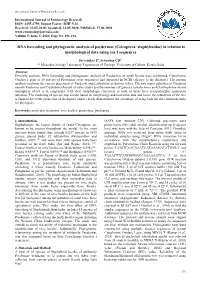 DNA Barcoding and Phylogenetic Analysis of Paederinae (Coleoptera: Staphylinidae) in Relation to Morphological Data Using Cox I Sequences