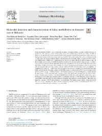 Molecular Detection and Characterisation of Feline