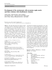 Development of the Serotonergic Cells in Murine Raphe Nuclei and Their Relations with Rhombomeric Domains