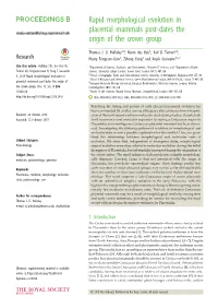 Rapid Morphological Evolution in Placental Mammals Post-Dates The