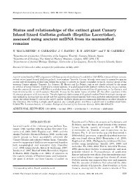 Status and Relationships of the Extinct Giant Canary Island Lizard Gallotia Goliath (Reptilia: Lacertidae), Assessed Using Ancient Mtdna from Its Mummiﬁed Remains
