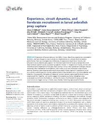 Experience, Circuit Dynamics, and Forebrain Recruitment in Larval Zebrafish Prey Capture