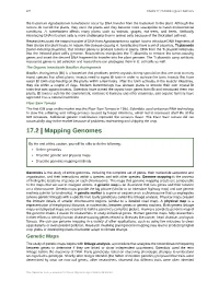 Mapping Genomes