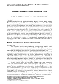 Microwave Dehydration Modelling of Tincalconite