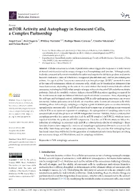 Mtor Activity and Autophagy in Senescent Cells, a Complex Partnership
