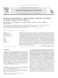 Reconstructing the Phylogeny of Aphids