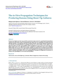 The in Vitro Propagation Techniques for Producing Banana Using Shoot Tip Cultures