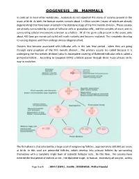 Oogenesis in Mammals