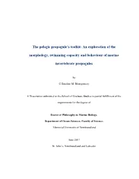 The Pelagic Propagule's Toolkit