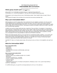Intermediate Ski Curriculum ------Which Group Should I Join? (Skills and Fitness)