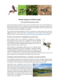 Master Projects on Darwin Wasps