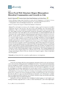 Micro-Food Web Structure Shapes Rhizosphere Microbial Communities and Growth in Oak