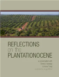 REFLECTIONS PLANTATIONOCENE On