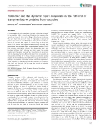 Retromer and the Dynamin Vps1 Cooperate in the Retrieval Of