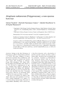 Atraphaxis Radkanensis (Polygonaceae), a New Species from Iran