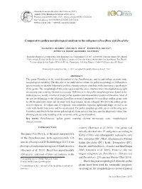 Comparative Pollen Morphological Analysis in the Subgenera Passifloraand Decaloba