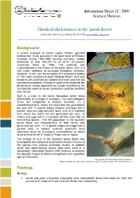 Gumleaf Skeletoniser in the Jarrah Forest by Janet Farr, DEC Science Division, (08) 97717996, Janet.Farr@Dec.Wa.Gov.Au