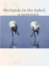 12.Wetlands in the Sahel