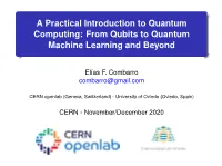 A Practical Introduction to Quantum Computing: from Qubits to Quantum Machine Learning and Beyond