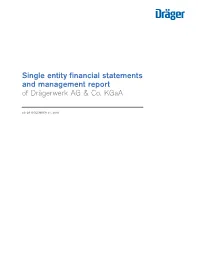 Drägerwerk AG & Co. Kgaa Single Entity Financial Statements for 2010