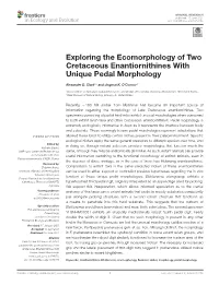 Exploring the Ecomorphology of Two Cretaceous Enantiornithines with Unique Pedal Morphology