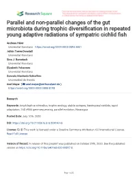 Parallel and Non-Parallel Changes of the Gut Microbiota During Trophic Diversifcation in Repeated Young Adaptive Radiations of Sympatric Cichlid Fsh