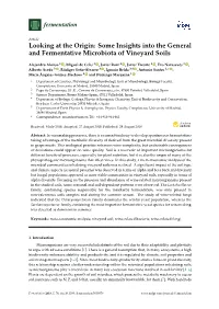 Some Insights Into the General and Fermentative Microbiota of Vineyard Soils