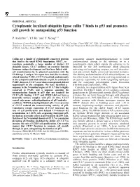 Cytoplasmic Localized Ubiquitin Ligase Cullin 7 Binds to P53 and Promotes Cell Growth by Antagonizing P53 Function