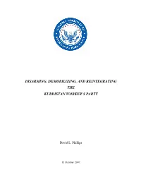 Disarming, Demobilizing, and Reintegrating the Kurdistan Worker’S Party