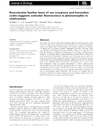 Exocuticular Hyaline Layer of Sea Scorpions and Horseshoe Crabs Suggests Cuticular ﬂuorescence Is Plesiomorphic in Chelicerates M