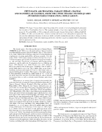 Phytosaur Crania.P65