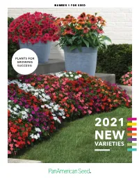 Varieties Panamerican Seed / New for 2021