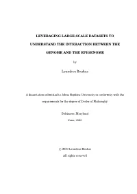 Leveraging Large-Scale Datasets to Understand