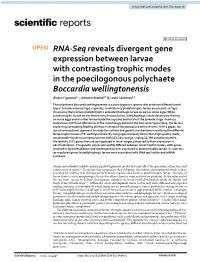 RNA-Seq Reveals Divergent Gene Expression Between Larvae