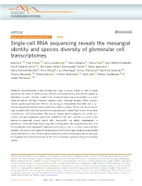 Single-Cell RNA Sequencing Reveals the Mesangial Identity and Species Diversity of Glomerular Cell Transcriptomes