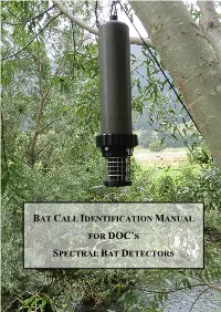 Using Spectrograms to Describe Bat Echolocation Calls