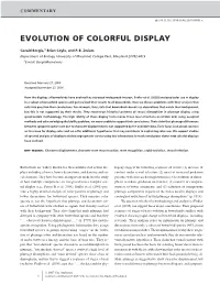 Evolution of Colorful Display