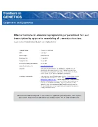 Microbial Reprogramming of Parasitized Host Cell