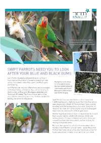 Swift Parrot and Forty-Spotted Pardalote