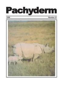 1996 Number 21