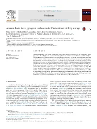 Amazon Basin Forest Pyrogenic Carbon Stocks First