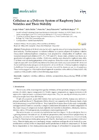 Cellulose As a Delivery System of Raspberry Juice Volatiles and Their Stability