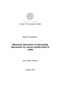Molecular Dissection of Inbreeding Depression for Semen Quality Traits in Cattle